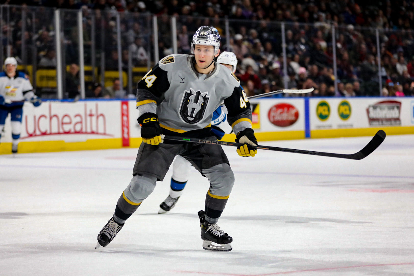 52640782562 22e72c2273 o