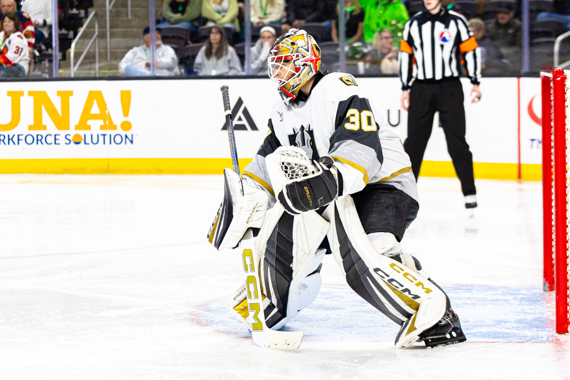 54388619617 d981973811 o