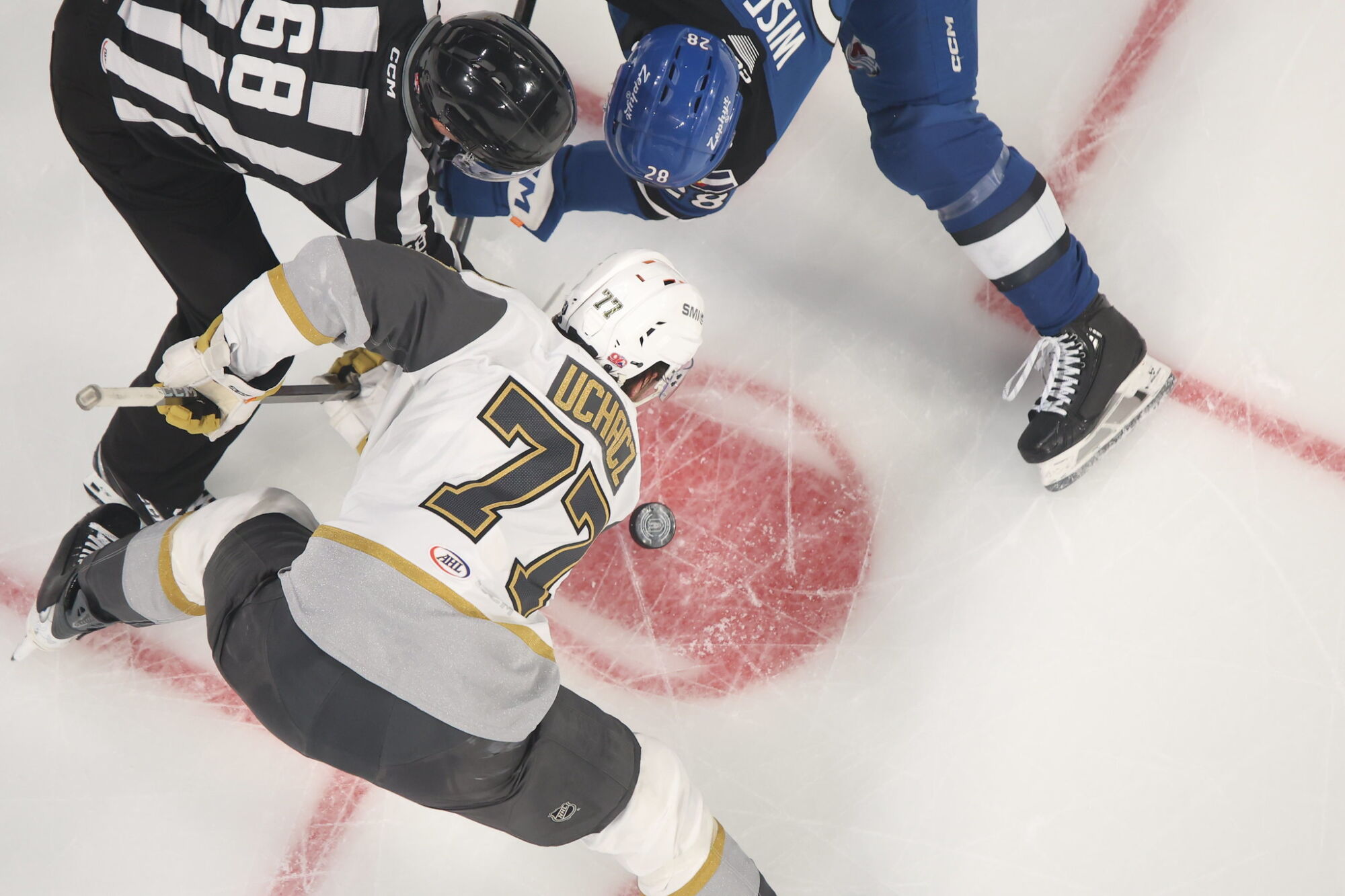 55022459458 1039c4a079 k