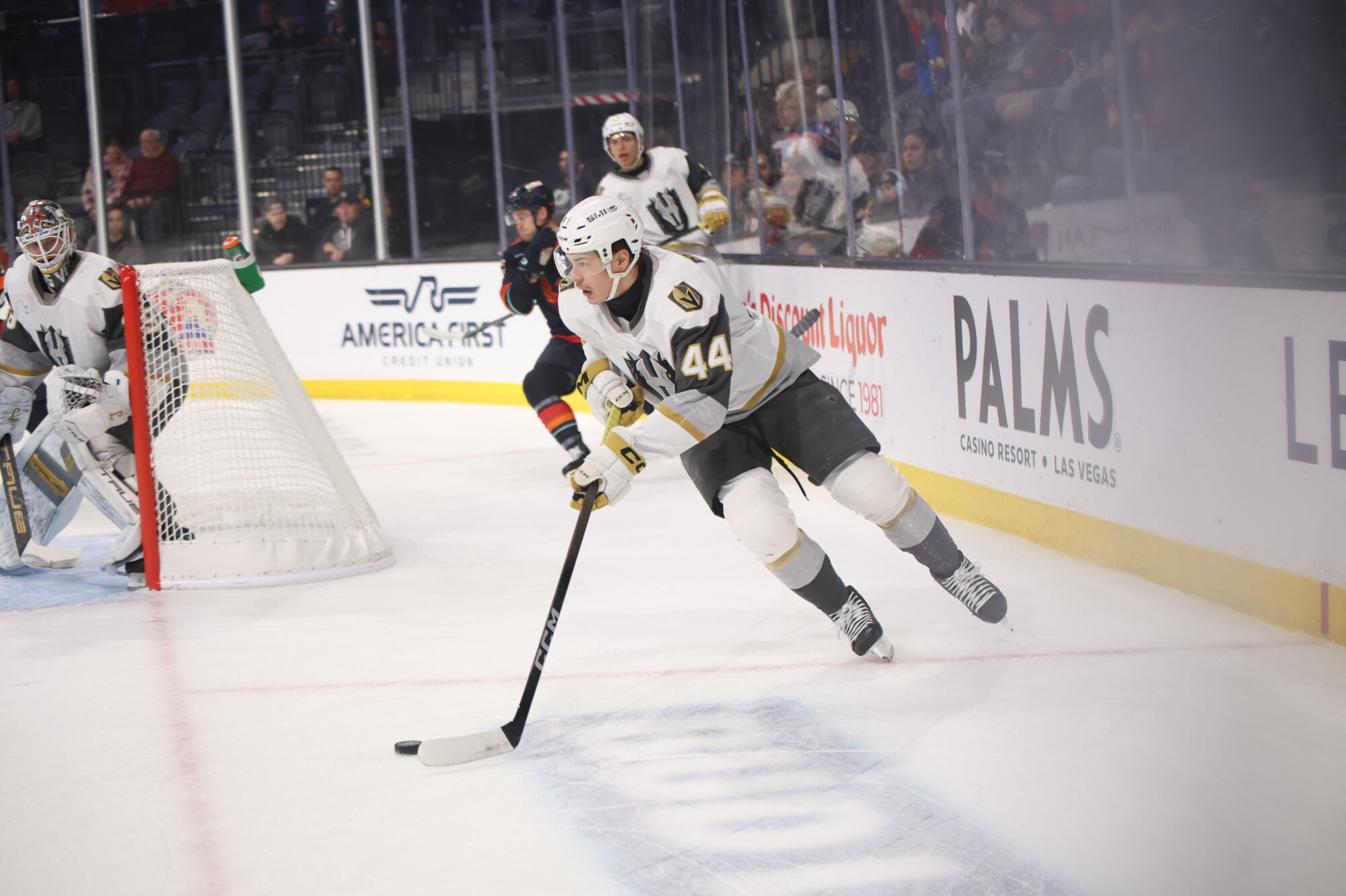 55082438248 c8b90c7ba7 o