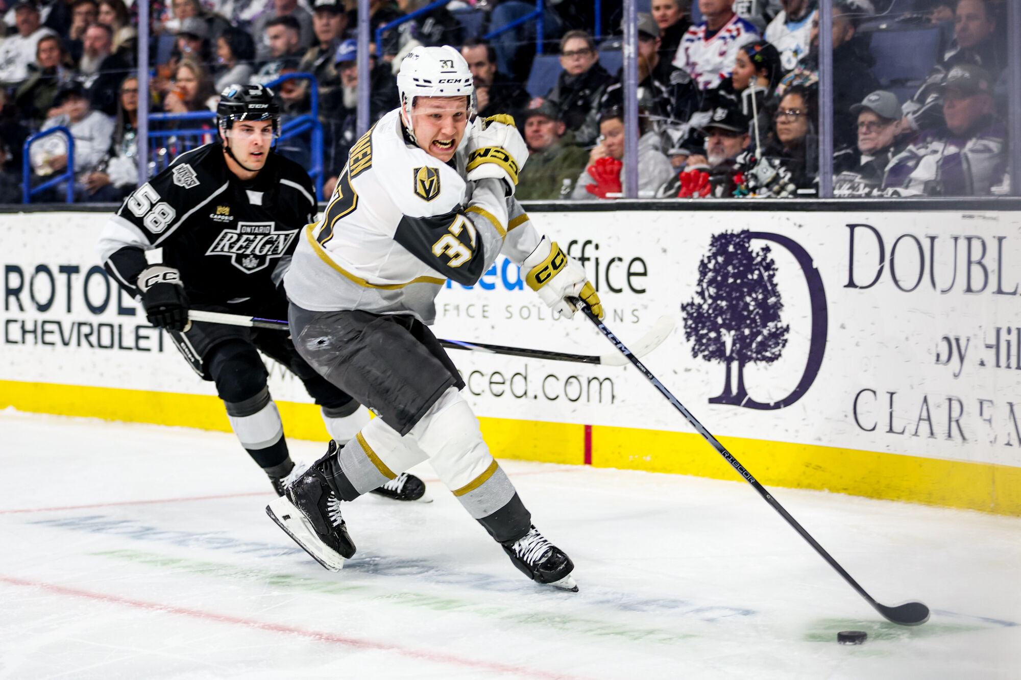 55132344177 7449006cf4 k