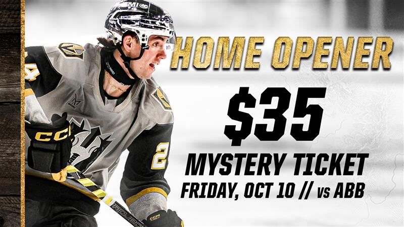 HSK25 HomeOpener Web