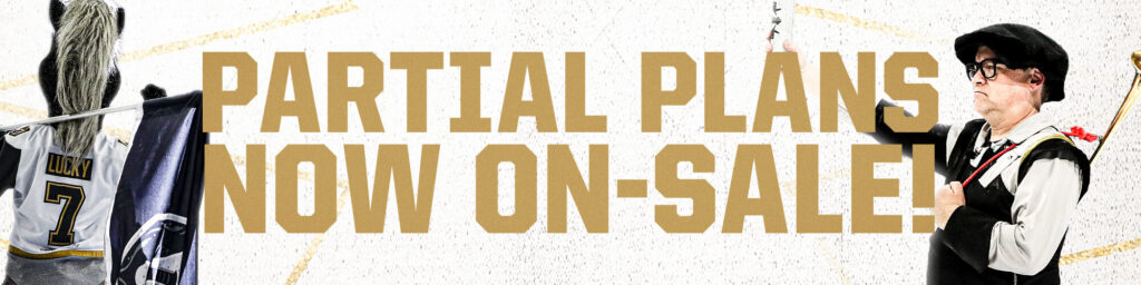 Partial Plans